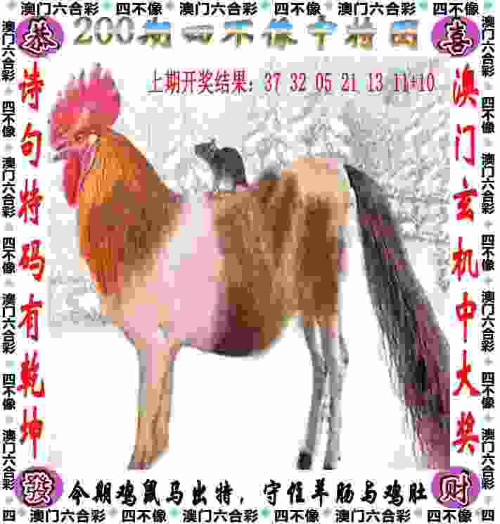 >管家婆一特一中